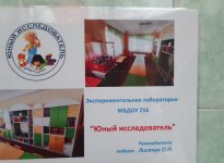 img (8)